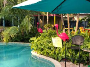 Bazén v ubytování Calypso Inn Wilton Gay Male Resort nebo v jeho okolí