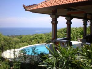 ロビナにあるThe Raja Singha Boutique Resort Baliの海の景色を望む家の中のスイミングプール