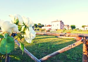 Foto dalla galleria di Casale Molinelle a San Gemini