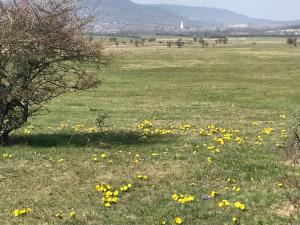 Príroda v okolí apartmánu