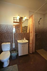 a bathroom with a toilet and a sink and a shower at Atomiņi in Aucugals +16 photos