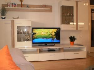 TV a/nebo společenská místnost v ubytování Apartment Lana