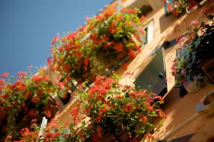 Hotel Al Codega