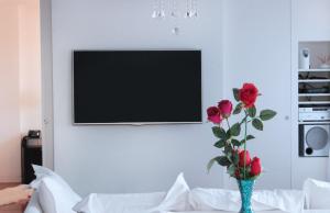 A television and/or entertainment centre at Residence Master Suite en Porteño Building