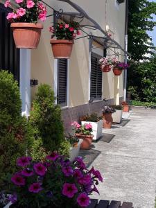 un grupo de flores en macetas al lado de un edificio en B&B Angel's, en Canosa Sannita