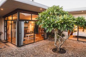 a house with a palm tree in front of it at The Store in Lovemore Park