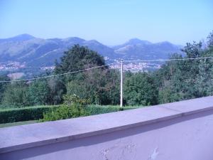 Príroda v okolí of the country house