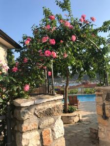 Bazén v ubytovaní Beautifu stone Vila Krčina alebo v jeho blízkosti