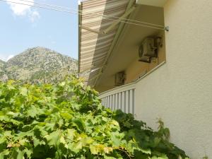 a green bush next to a building with mountains in the background at Lorena Rooms in Risan