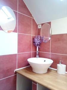 a bathroom with a sink and a mirror at La Montagne de Bellot in Bellot