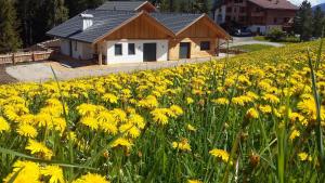 Zahrada ubytování chalet soredl