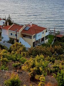 Livadáki的住宿－Adreas' seaside apartment，海边山顶上的房子