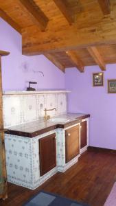 リオルナートにあるB&B Ca Dei Lenzottiの紫の壁のキッチン(シンク付)