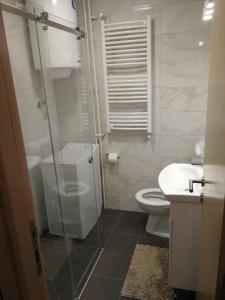 ベオグラードにあるApartment Oasis BANOVO BRDO-ADA CIGANLIJAのバスルーム(シャワー、トイレ、シンク付)