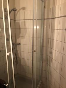 y baño con ducha y puerta de cristal. en Hotel Mylos, en Sittensen