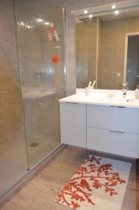 バイヨンヌにあるresidence saint bernardのバスルーム(シャワー、白いシンク付)