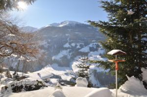 Paesaggio naturale nelle vicinanze dello chalet