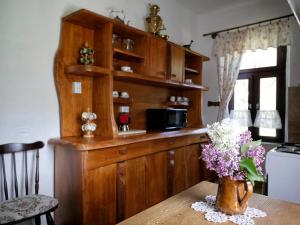 Kuchyň nebo kuchyňský kout v ubytování Szérűskert Vendégház Pusztaszer