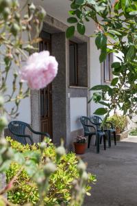 Ogród w obiekcie Pension Casa Maruja