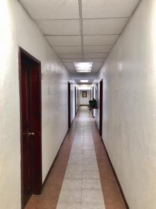 Afbeelding uit fotogalerij van Hotel Roma in Oaxaca City