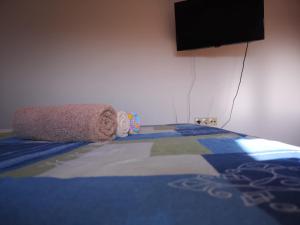 TV a/nebo společenská místnost v ubytování Apartment Lena