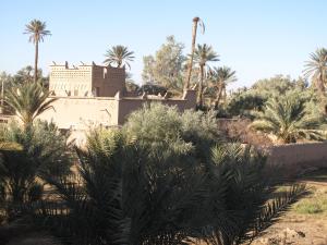 Gite Kasbah La Palmeraie外面的花园