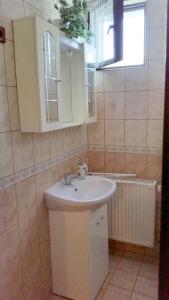 Balázs Apartman 8749 Zalakaros, 1 Kanicai út kép - 2