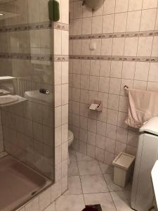 a bathroom with a shower and a sink and a toilet at Summer place in Budapest