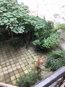 Vonkajšia záhrada v ubytovaní Summer place