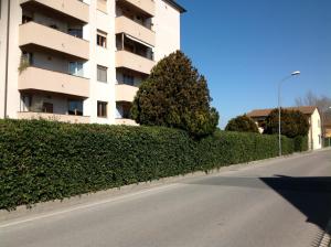 a building with a hedge next to a street at Cisanello House in Pisa