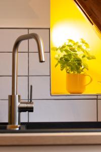 a kitchen sink with a plant in a pot on a mirror at La Grange de Madeleine in Eguisheim