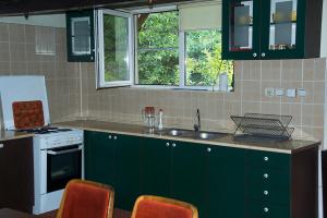 a kitchen with green cabinets and a sink at Mara in Zaječar
