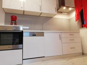 Kuchyň nebo kuchyňský kout v ubytování Apartment Marko