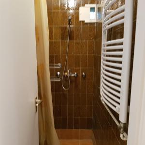 W łazience znajduje się prysznic z brązowymi kafelkami. w obiekcie Miki Apartmanok és Vendégházak w Hajduszoboszlo