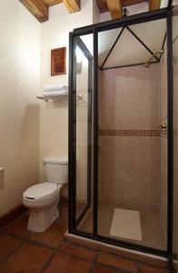 a bathroom with a toilet and a shower at Hotel Pueblo Magico in Pátzcuaro