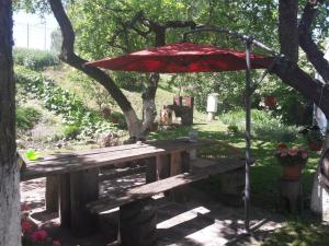 a picnic table with a red umbrella in a garden at Aleks in Zarasai