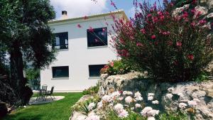 Zahrada ubytování Villa Olivia