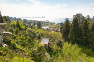 a view of a hill with trees and a bridge at Sunny Hotel Batumi in Makhinjauri
