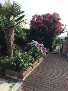 Vonkajšia záhrada v ubytovaní Apartment Simeone