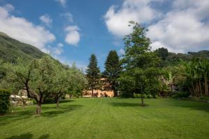 Relais Corte Rodeschi في كامايوري: حقل عشبي كبير مع الأشجار والمنزل