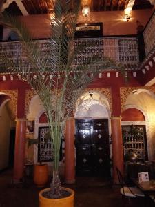 Fotografie z fotogalerie ubytování Riad Naya v Marrákéši