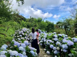 two women standing in a garden of purple flowers at Qingshan Homestay in Taimali