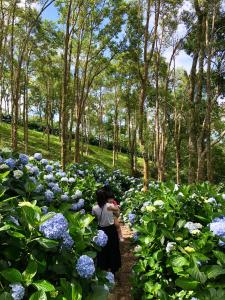Zahrada ubytování Qingshan Homestay + 9 fotografií