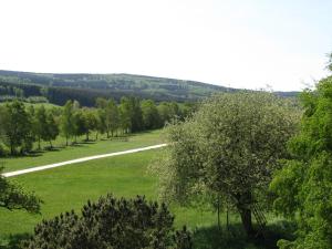 Galeriebild der Unterkunft Hotel Steuer in Allenbach + 22 Fotos
