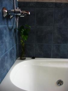 a bathroom with a white bath tub with a faucet at Carpe Diem Cabañas & Suites in El Bolsón