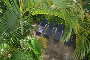 Zahrada ubytování Coral Apartments Port Douglas