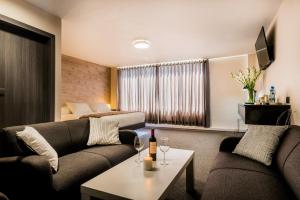 Posezení v ubytování Hotel Viza