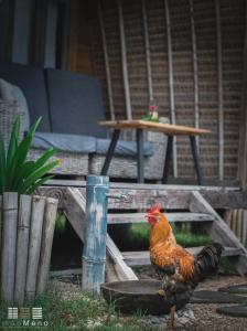 a rooster standing in front of a wooden table at MaoMeno Yoga Resort in Gili Meno