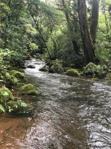 Pokrajina v okolici brunarice