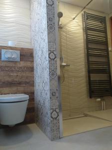 uma casa de banho com um chuveiro, um WC e uma banheira em Diófás Guesthouse em Rózsaszentmárton